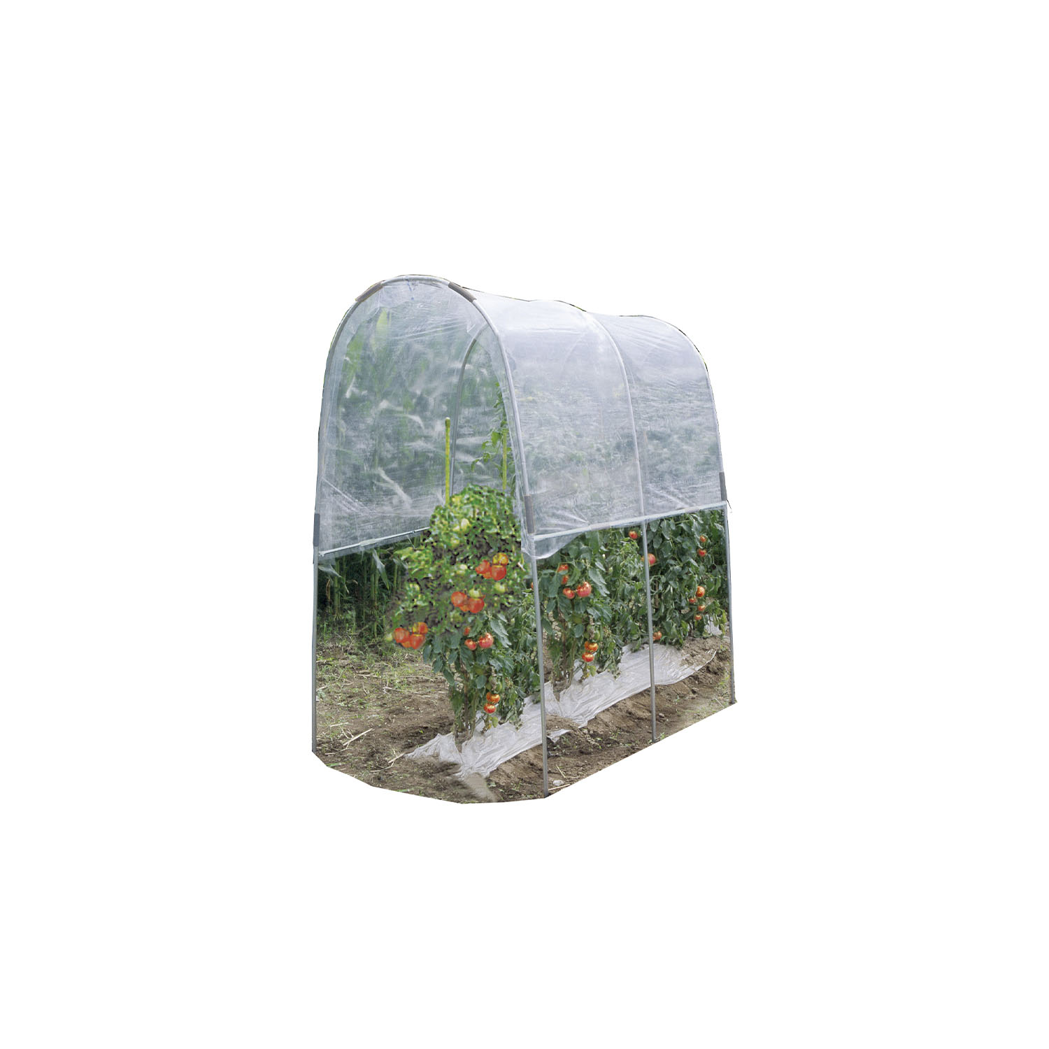 トマトの屋根 NT-18