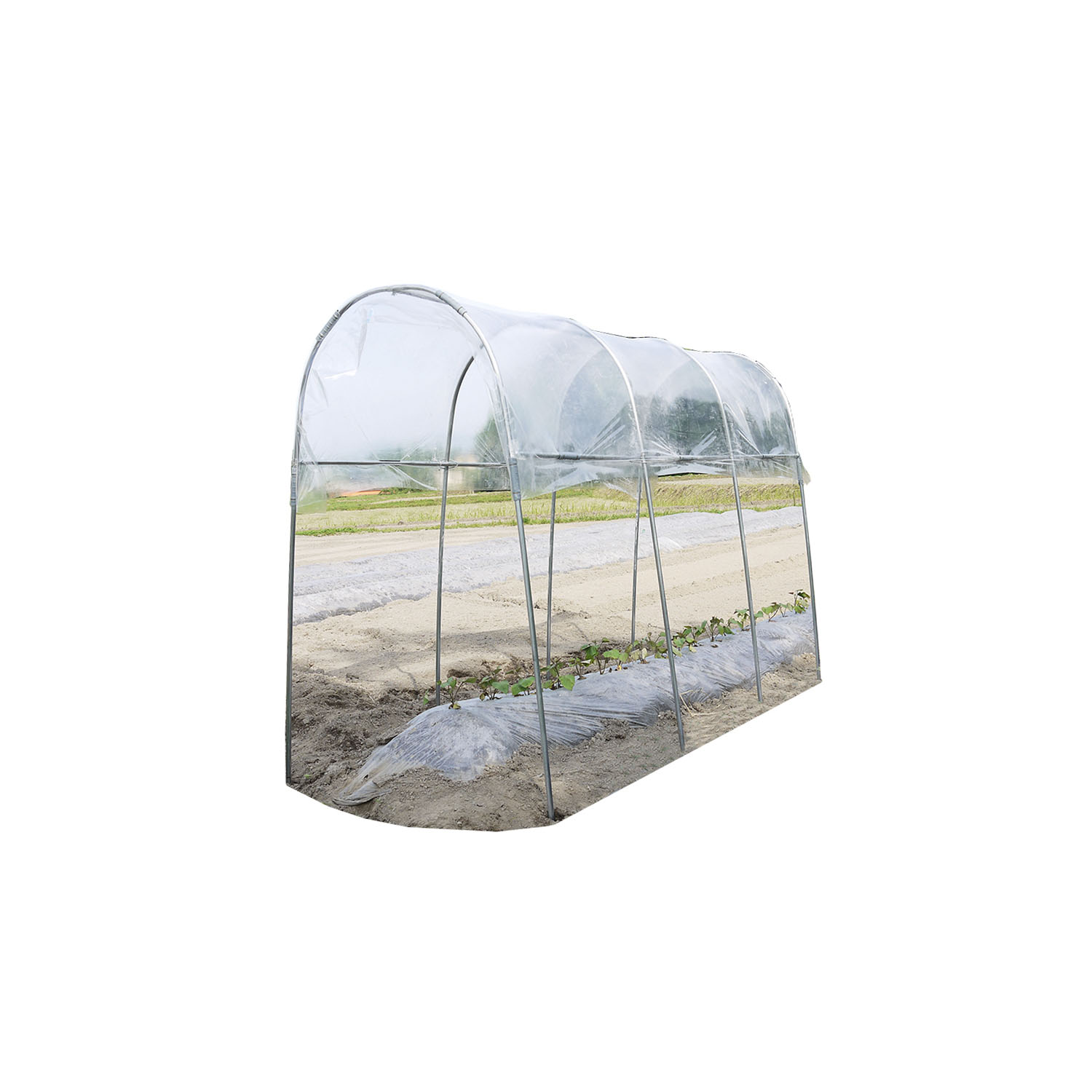 トマトの屋根 NT-27