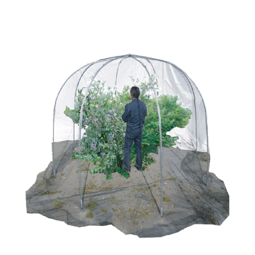 果樹ドーム