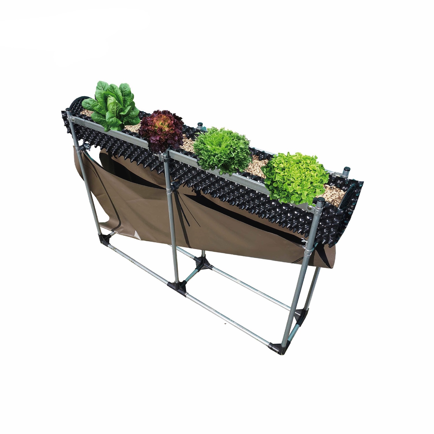 ルートプラスステージエントリー