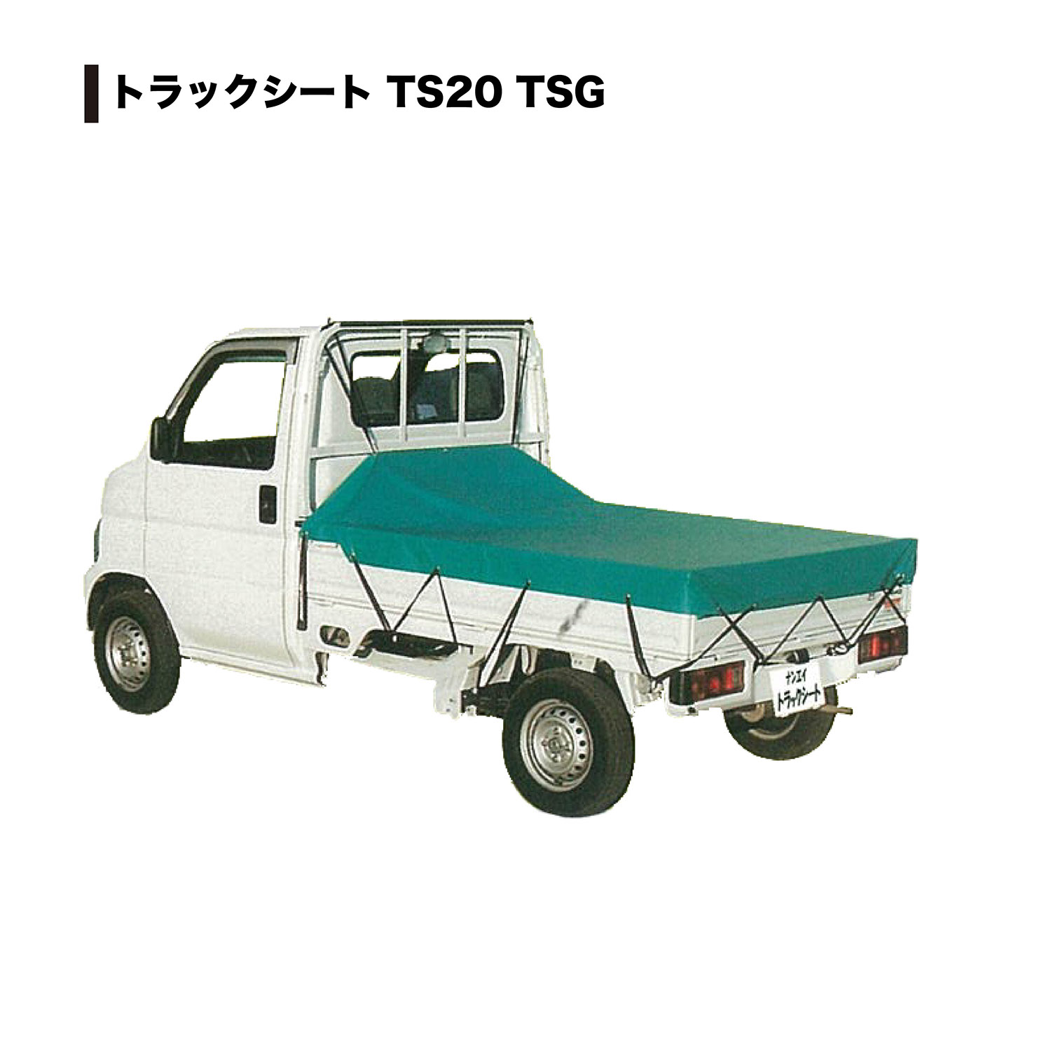 TS-20 TSG