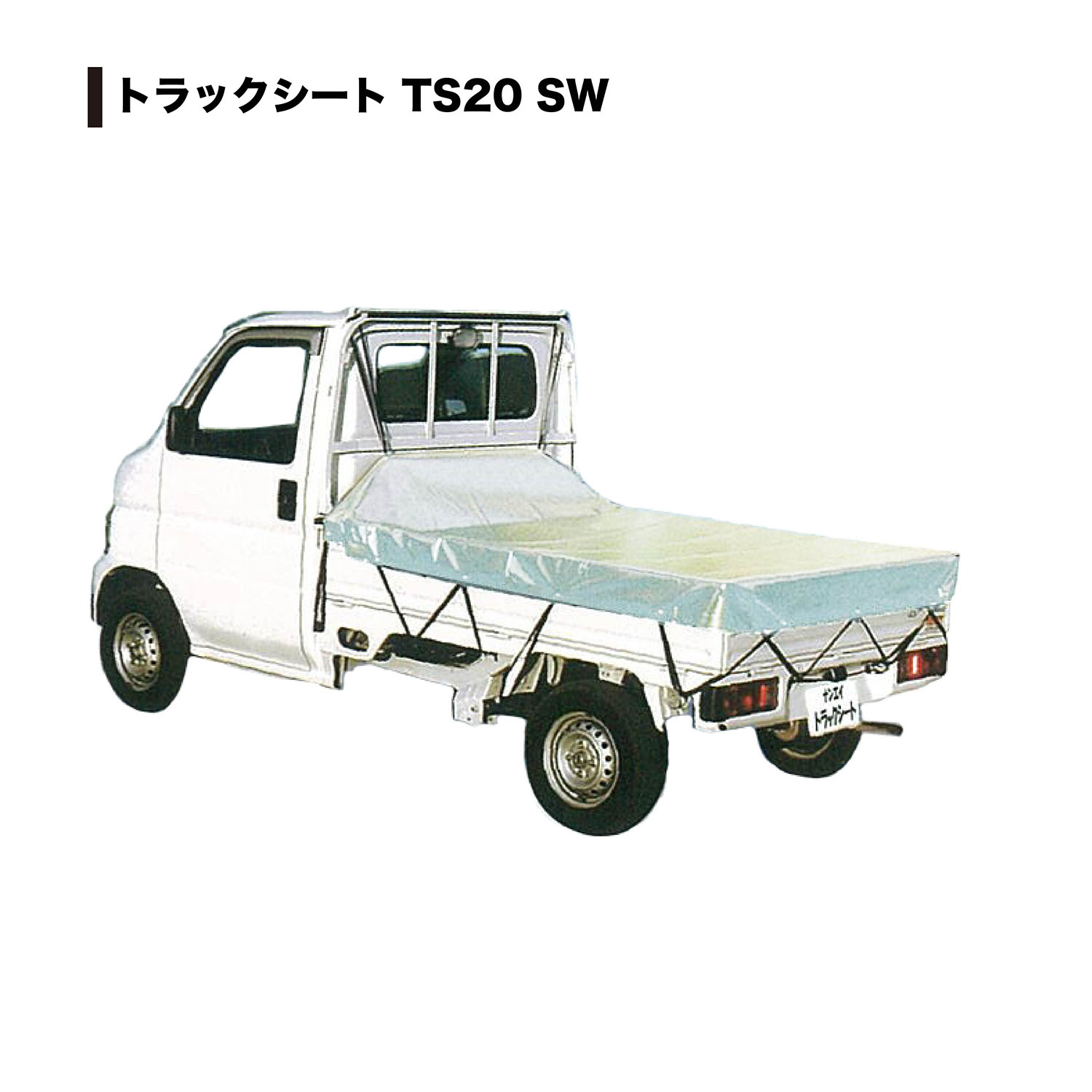 TS-20 SW